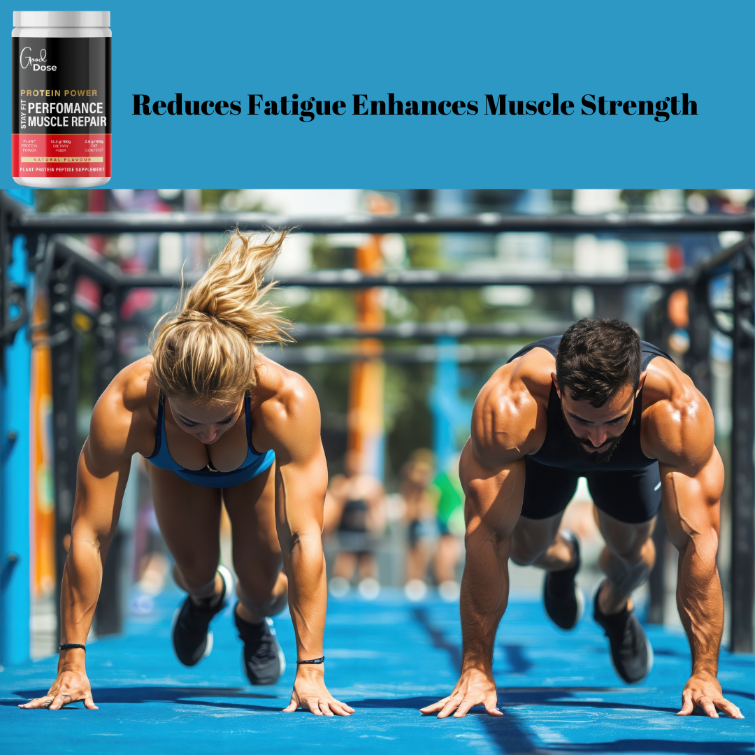 Good Dose - The Ultimate Plant Based Muscle Recovery Protein